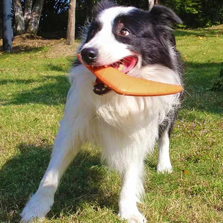 EVA Pet Dart: una guida pratica alla scelta di un giocattolo per cani sicuro e divertente